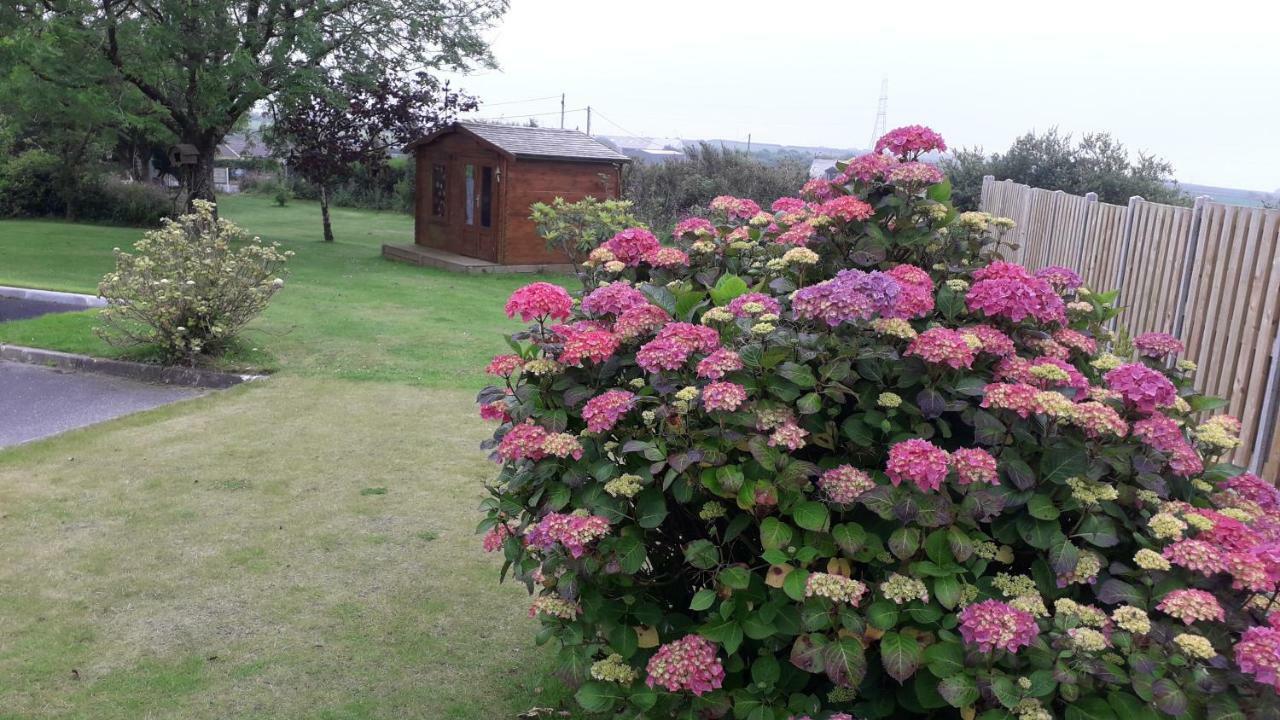 카멜퍼드 Melorne Farm B&B 외부 사진
